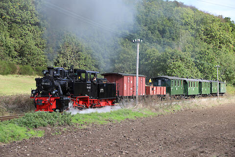 historischer Sonderzug - Foto: Mario Wolf